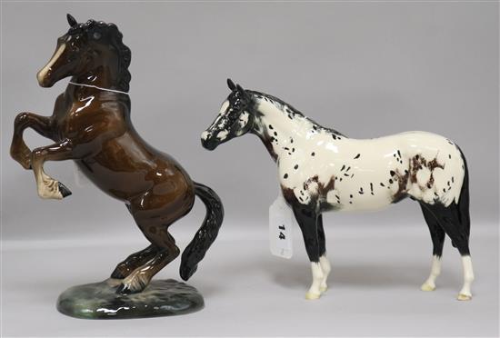 A Beswick Welsh cob rearing 1014, brown, second version and a Appaloosa Stallion H1772